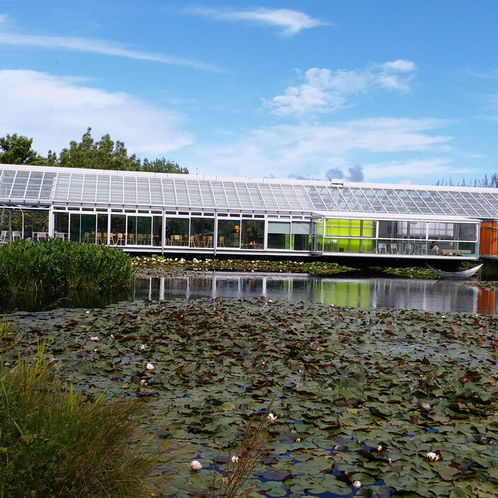 Ashton Mitchell Christmas 2018