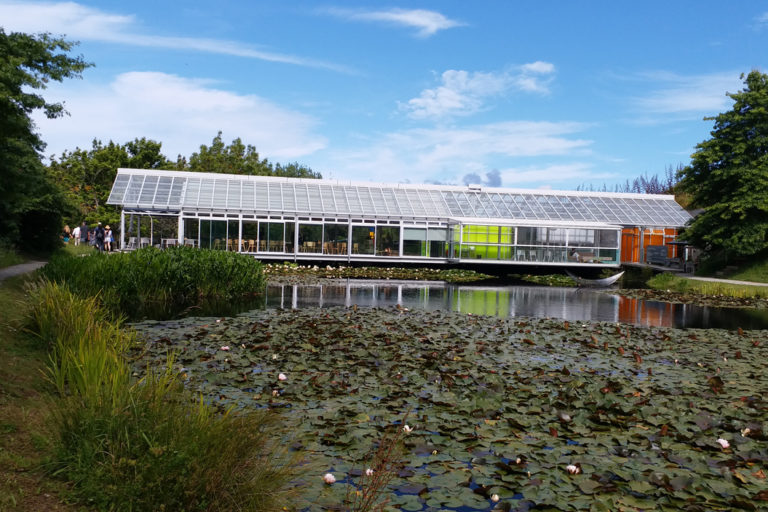 Ashton Mitchell Christmas 2018 Ashton Mitchell Christmas 2018