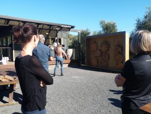 Big Day Out 2019 - Bracu Berretta Activities