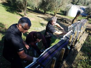 Big Day Out 2019 - Bracu Berretta Activities