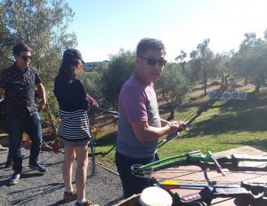 Big Day Out 2019 - Bracu Berretta Activities