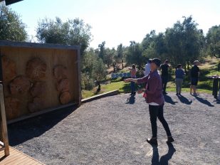 Big Day Out 2019 - Bracu Berretta Activities