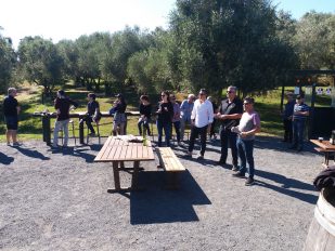 Big Day Out 2019 - Bracu Berretta Activities