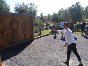 Big Day Out 2019 - Bracu Berretta Activities