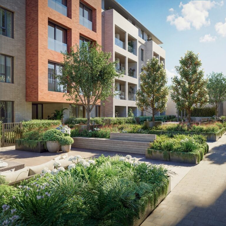 Introducing Dova - 03