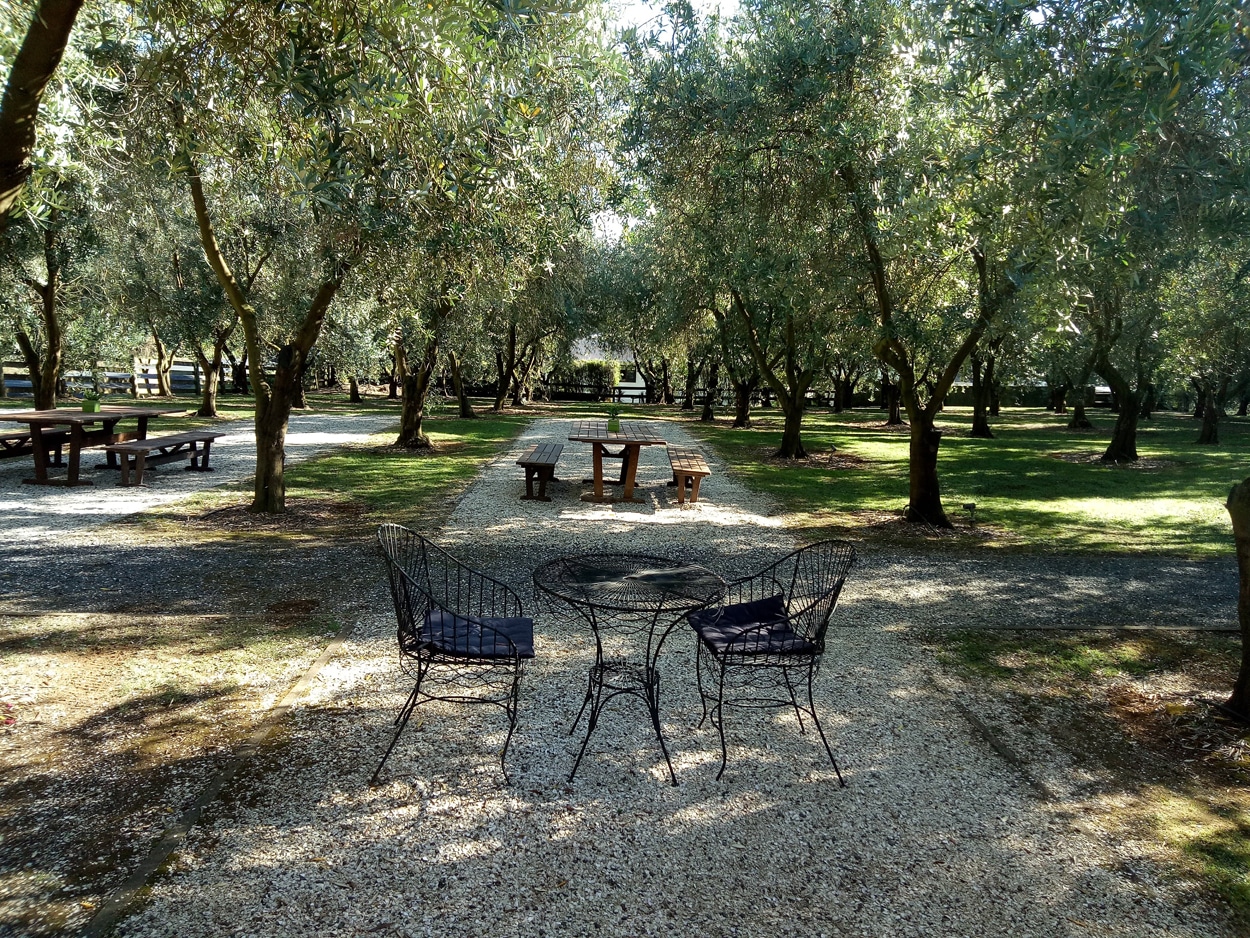 Big Day Out 2019 - Simunovich Olive Estate Big Day Out 2019 - Simunovich Olive Estate