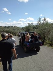 Big Day Out 2019 - Simunovich Olive Estate tour