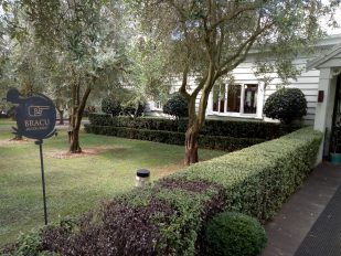 Big Day Out 2019 - Bracu Restaurant