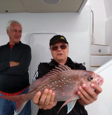 Big Day Out 2017 - One of Vesko's catches