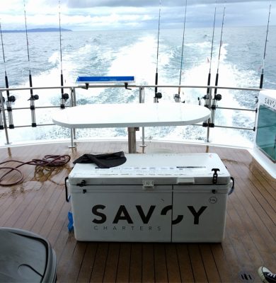 Big Day Out 2017 - Savoy Charter boat