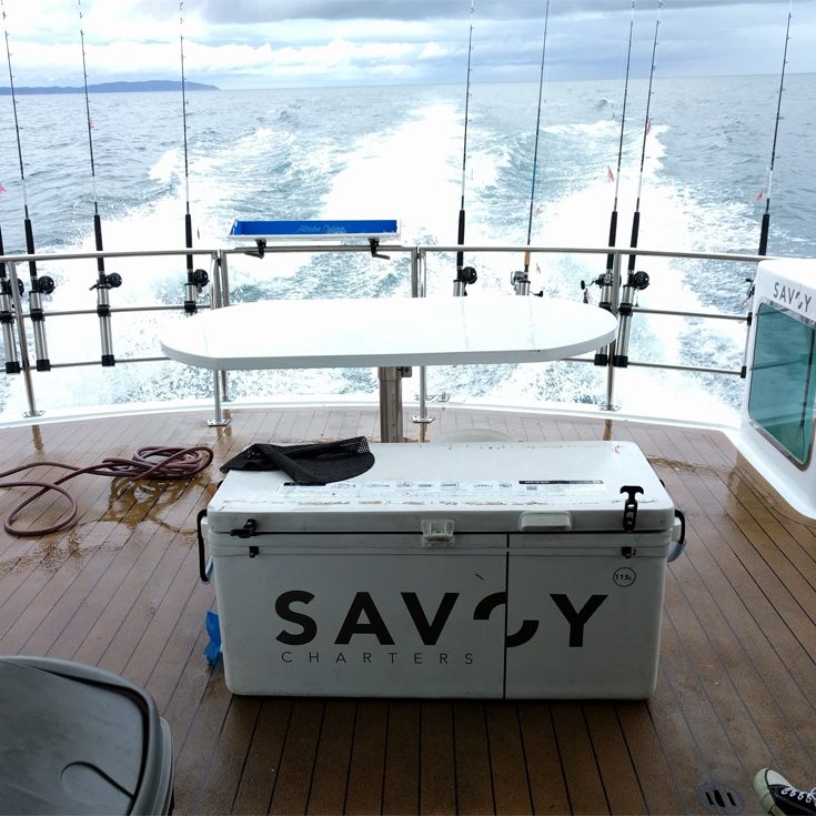 Big Day Out 2017 - Savoy Charter boat