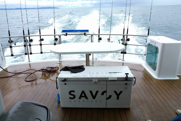 Big Day Out 2017 – Savoy Charter boat Big Day Out 2017 - Savoy Charter boat