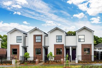 Northern Glen Innes Redevelopment - P03 Terraced Housing
